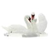Anadi Anadi