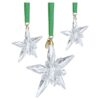 Annual Edition Ornament Set 2025