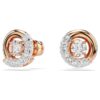 Dextera Stud Earrings Round Cut, White, Rose Gold-Tone Plated Dextera Stud Earrings Round Cut, White, Rose Gold-Tone Plated
