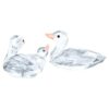 Ducks