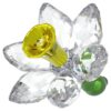 Florere Daffodil
