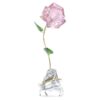 Florere Rose