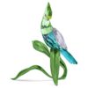 Idyllia Green Turaco Idyllia Green Turaco