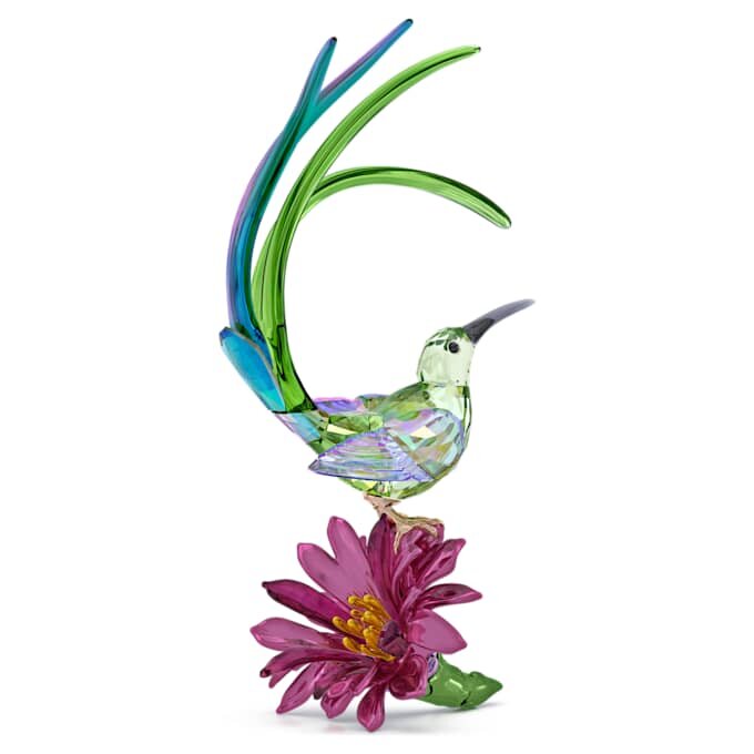 Idyllia Sugarbird and Cactus Flower Idyllia Sugarbird and Cactus Flower