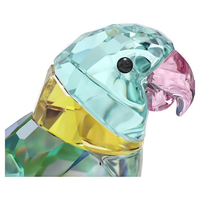 Jungle Beats Parakeet Couple Fife & Fifer Jungle Beats Parakeet Couple Fife & Fifer