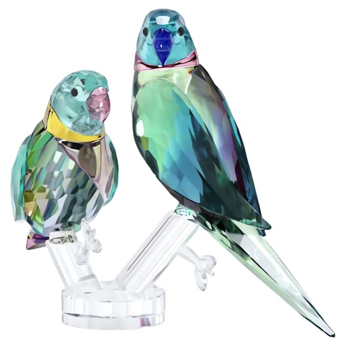 Jungle Beats Parakeet Couple Fife & Fifer Jungle Beats Parakeet Couple Fife & Fifer
