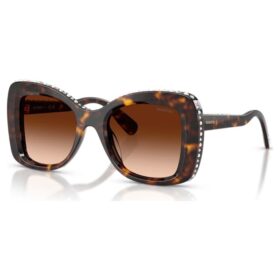 Sunglasses Butterfly Shape, Sk6062U, Brown Sunglasses Butterfly Shape, Sk6062U, Brown