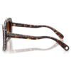 Sunglasses Butterfly Shape, Sk6062U, Brown Sunglasses Butterfly Shape, Sk6062U, Brown