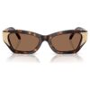 Sunglasses Cat-Eye Shape, Sk6029, Brown Sunglasses Cat-Eye Shape, Sk6029, Brown