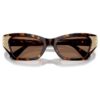 Sunglasses Cat-Eye Shape, Sk6029, Brown Sunglasses Cat-Eye Shape, Sk6029, Brown