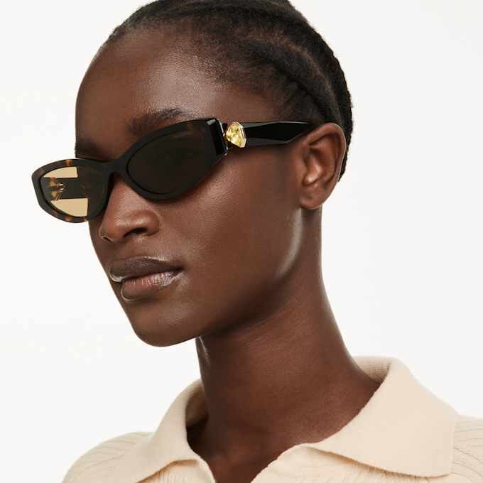 Sunglasses Cat-Eye Shape, Sk6045, Brown Sunglasses Cat-Eye Shape, Sk6045, Brown