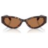 Sunglasses Cat-Eye Shape, Sk6045, Brown Sunglasses Cat-Eye Shape, Sk6045, Brown