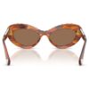 Sunglasses Cat-Eye Shape, Sk6061U, Brown Sunglasses Cat-Eye Shape, Sk6061U, Brown