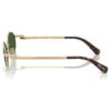 Sunglasses Oval Shape, Green