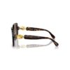 Sunglasses Oversized, Square Shape, Sk6001, Brown