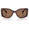 Sunglasses Pillow Shape, Sk6058U, Brown